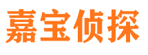 边坝侦探公司